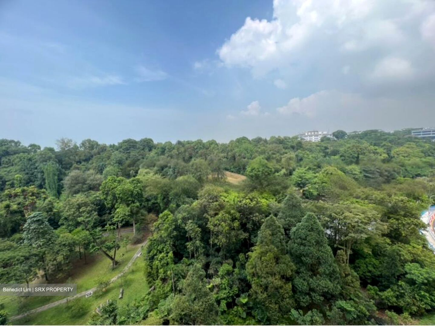 Normanton Park (D5), Apartment For Rent 101657761